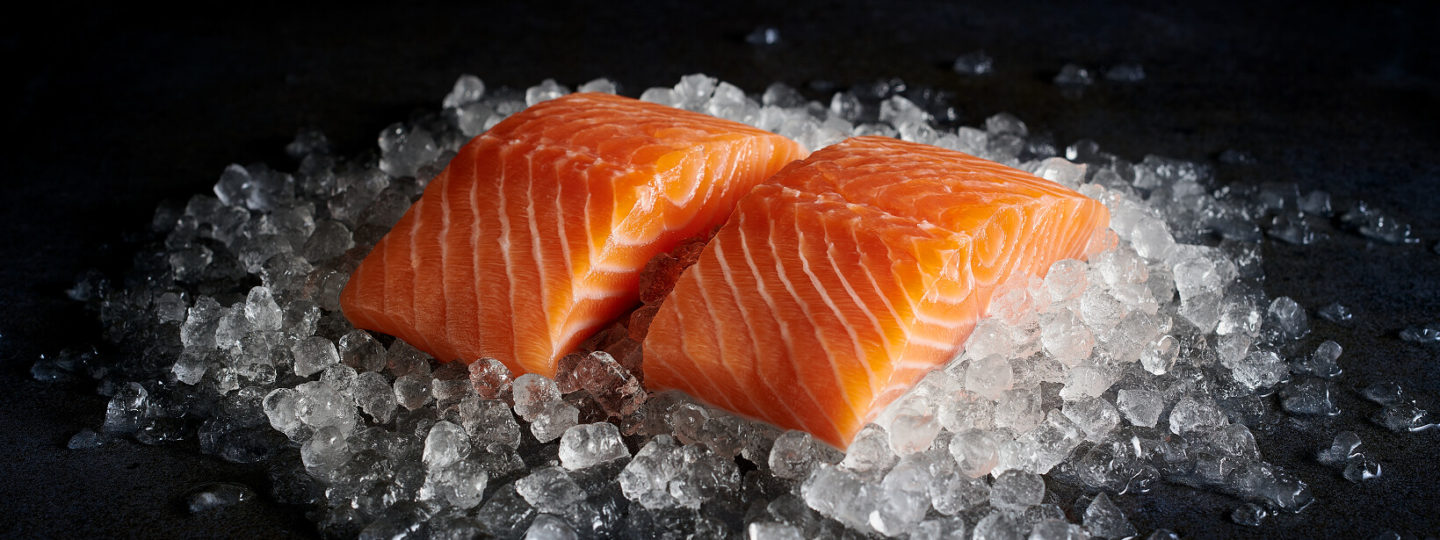 salmon fillets on ice