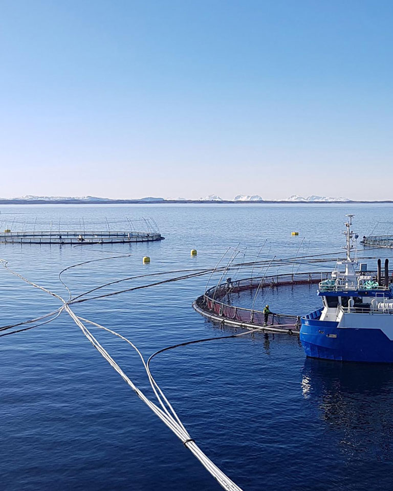 Salmon farm in the ocean