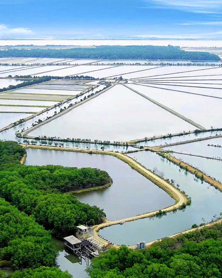 Shrimp farm in the ocean