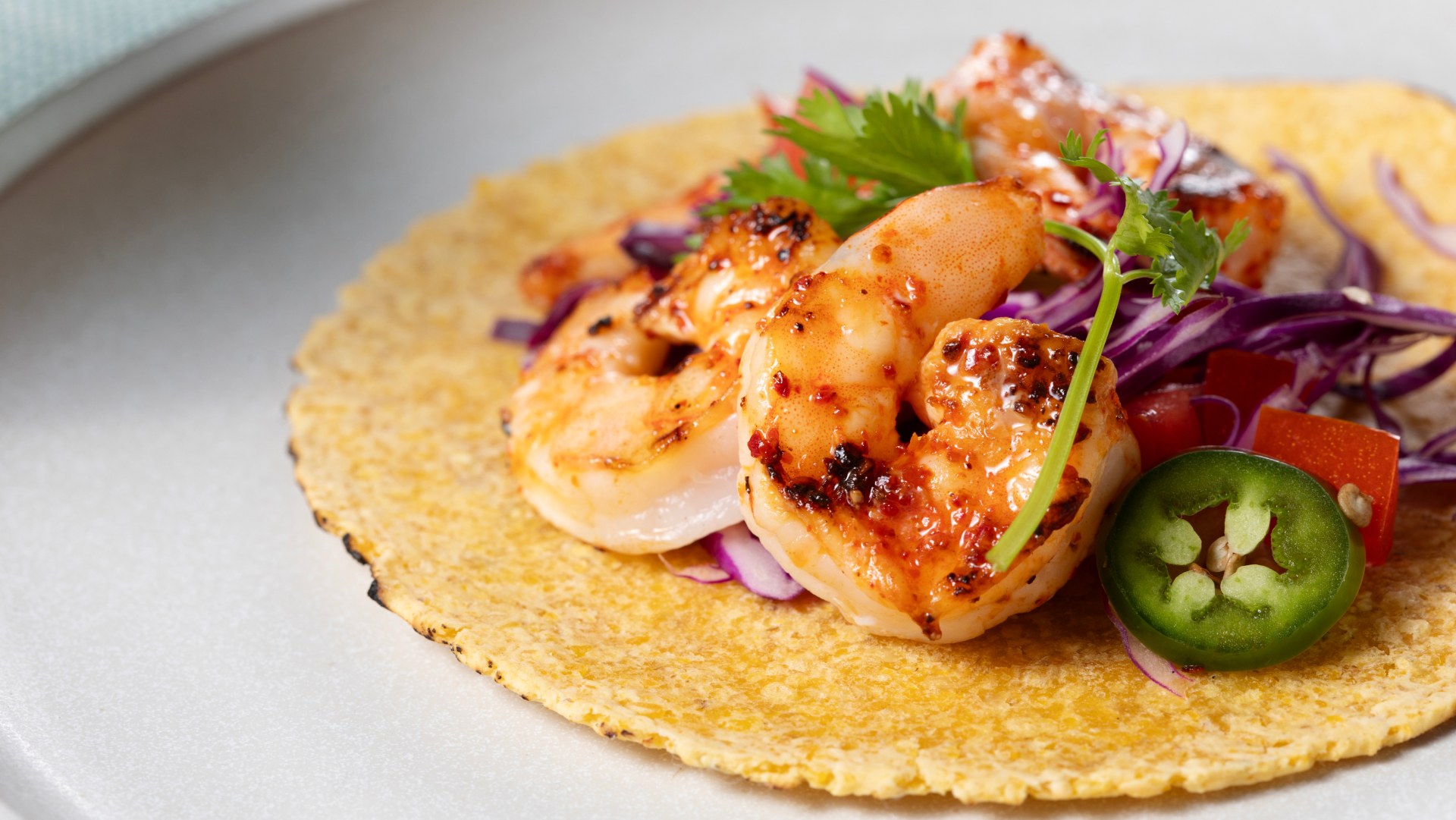 Close up of shrimp tacos