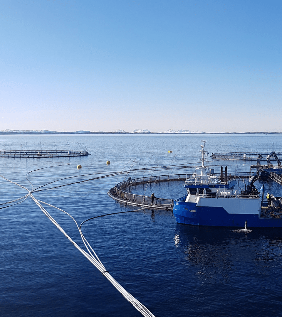 Salmon farm in the ocean