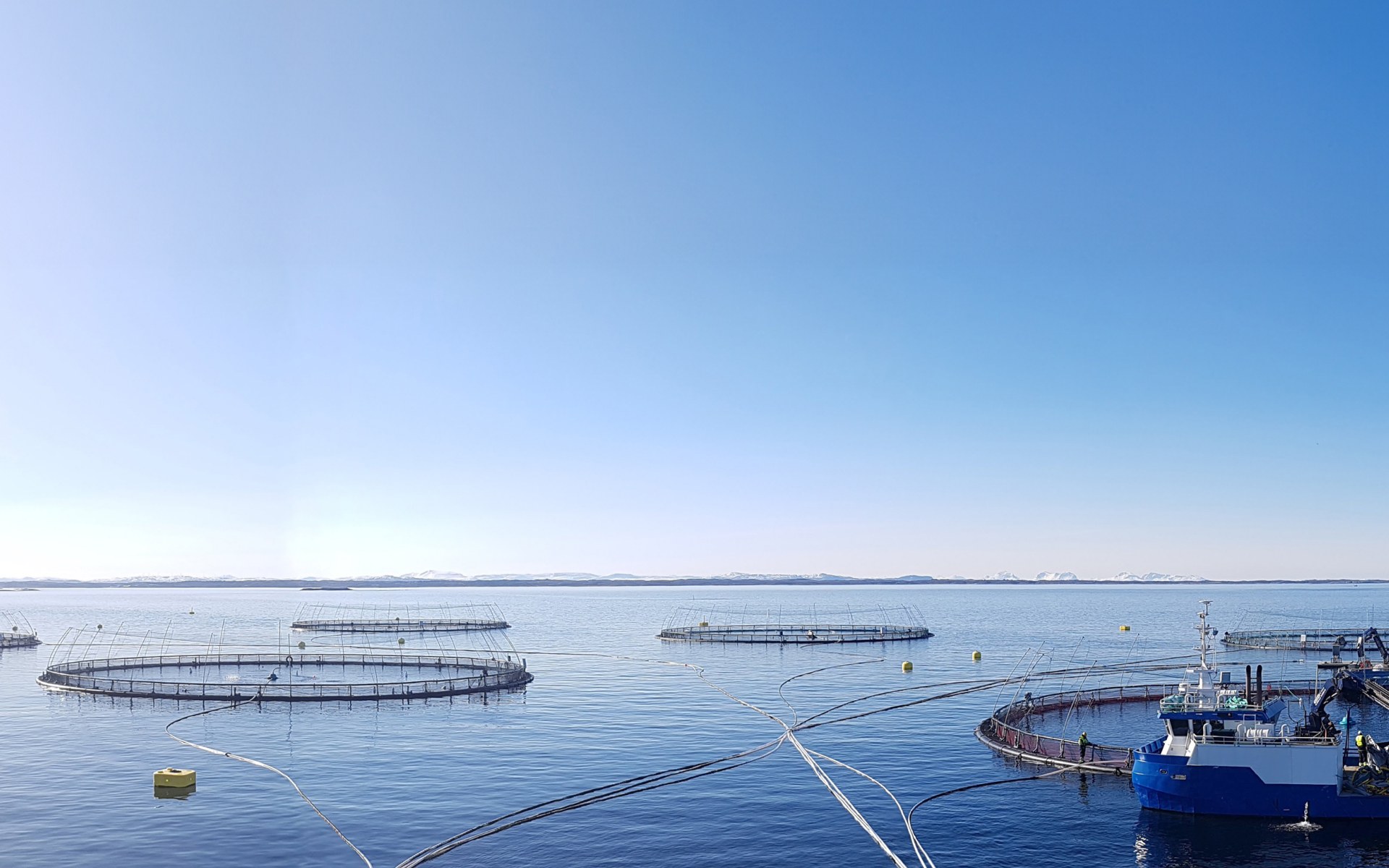 Salmon farm in the ocean