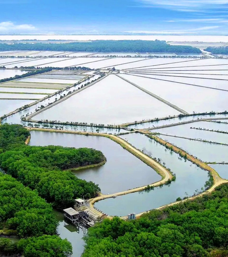 A shrimp farm in the ocean