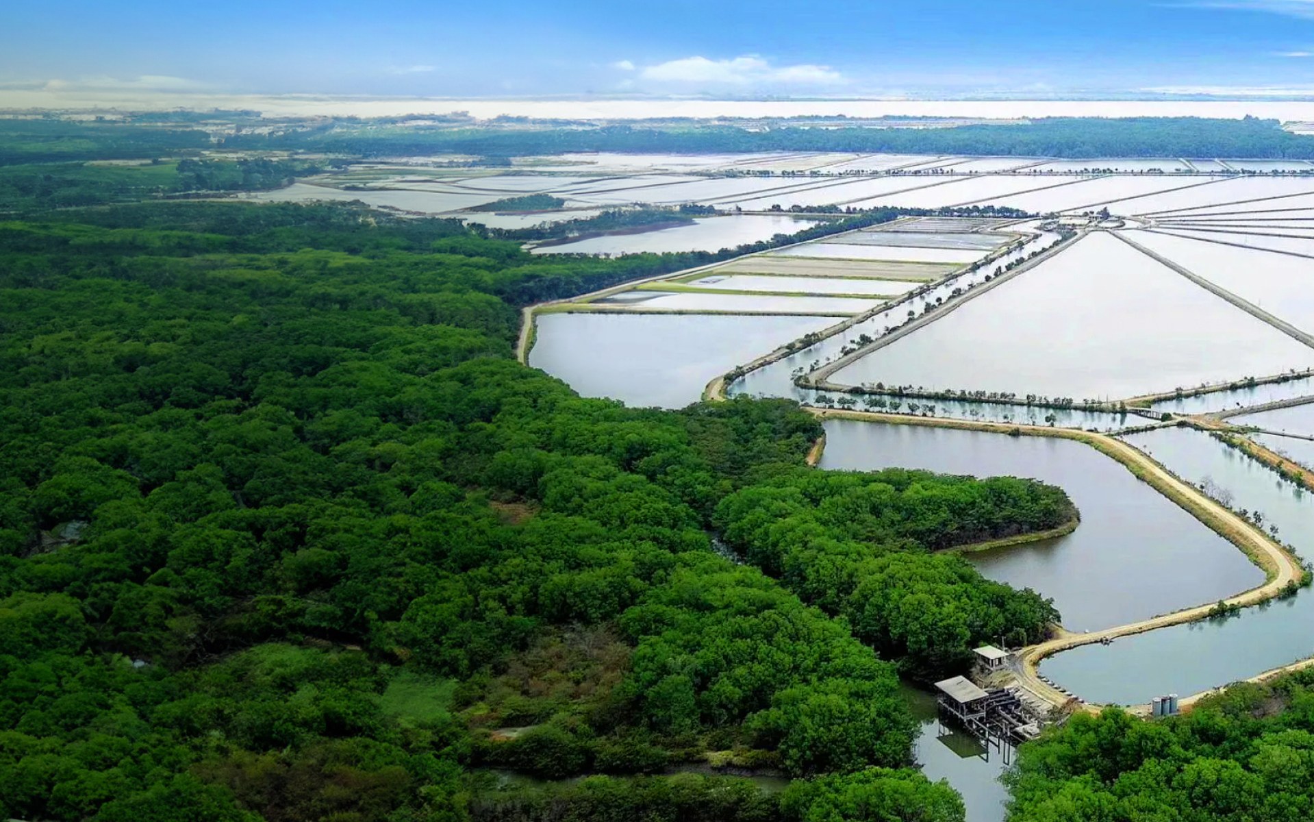 Shrimp farm in the ocean